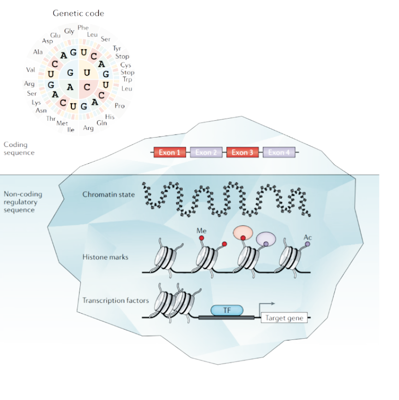 Systems Biology