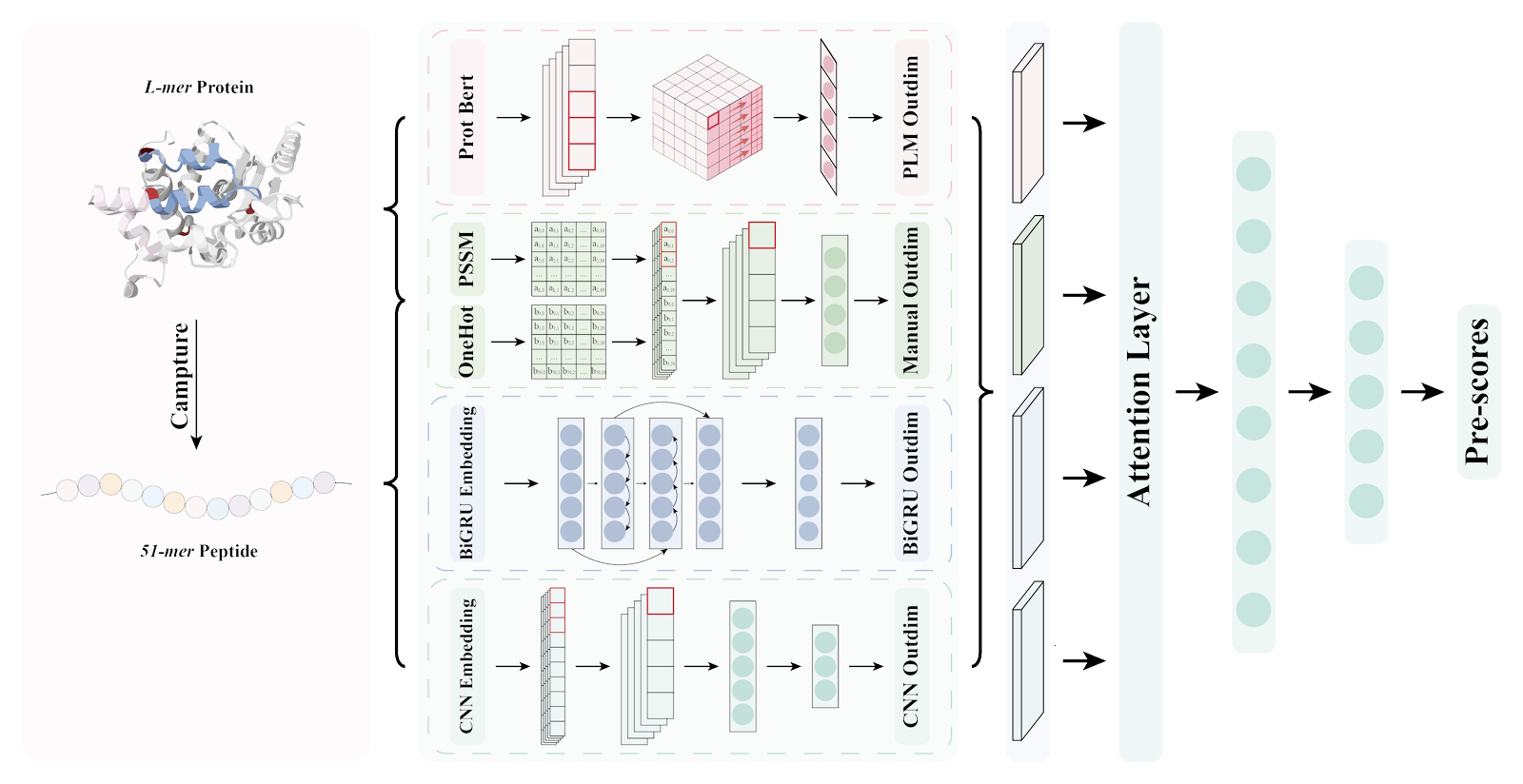 Protein Function Prediction