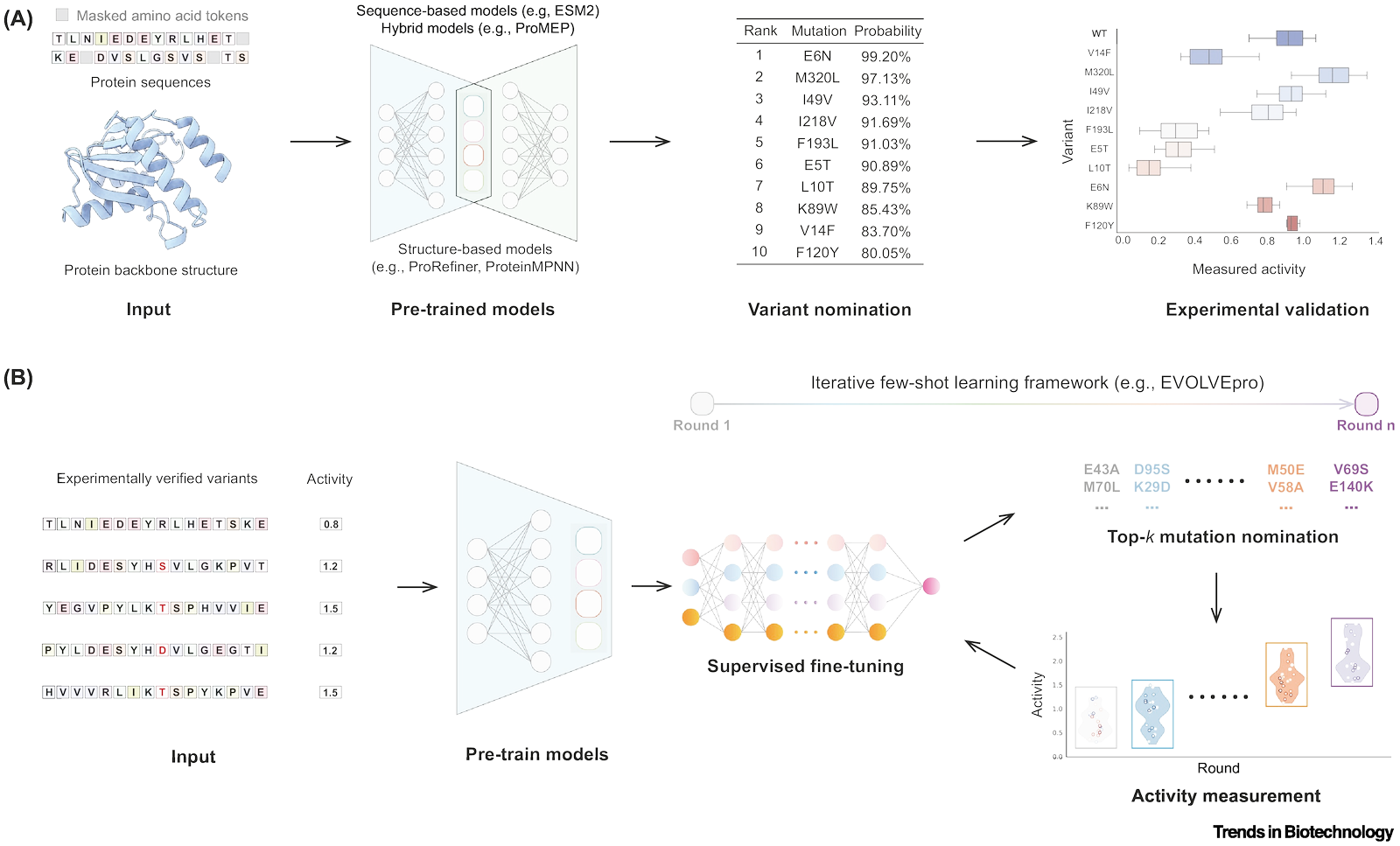 Protein Design