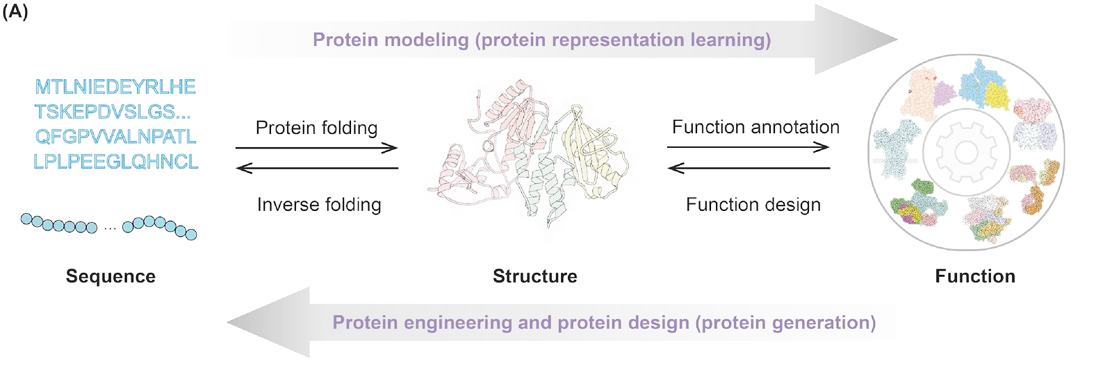 Biological Foundation Models