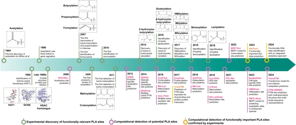 Current computational tools for protein lysine acylation site prediction