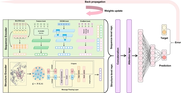 SLAM: Structure-aware lysine β-hydroxybutyrylation prediction with protein language model