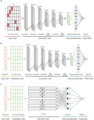 DeepKhib: A Deep-Learning Framework for Lysine 2-Hydroxyisobutyrylation Sites Prediction