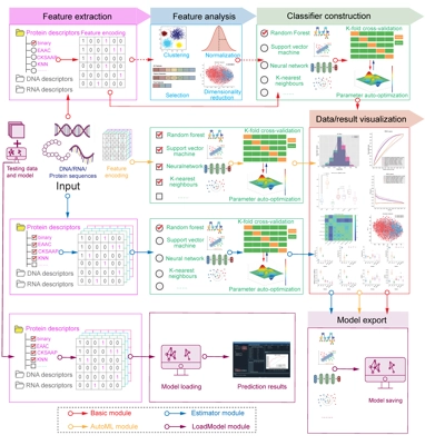 iLearnPlus: a comprehensive and automated machine-learning platform for nucleic acid and protein sequence analysis, prediction and visualization